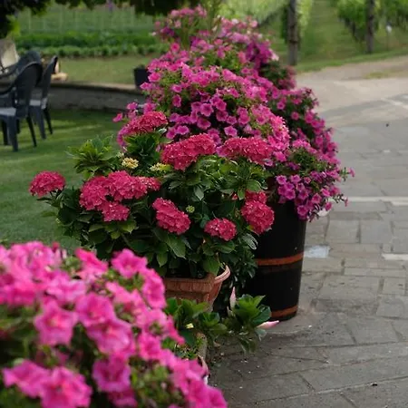 Alloggio per agriturismo Bisenzio