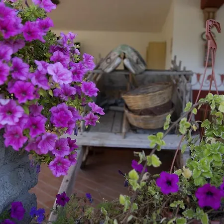 Bisenzio Alloggio per agriturismo Capodimonte